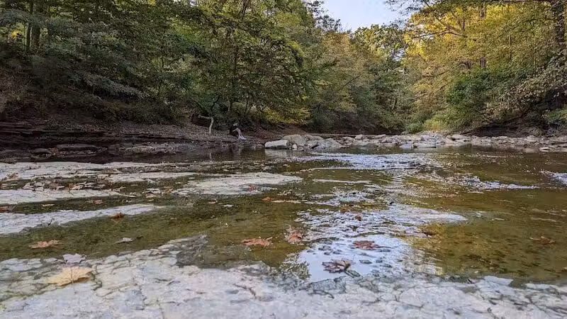 Euclid Creek Park Pavilion - Euclid, OH