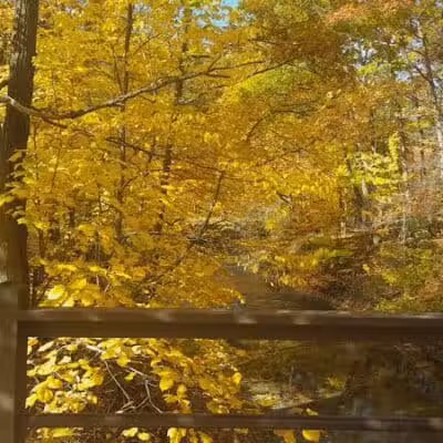 Euclid Creek Park Pavilion - Euclid, OH