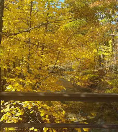 Euclid Creek Park Pavilion - Euclid, OH