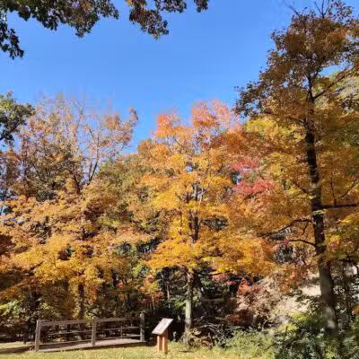Euclid Creek Park Pavilion - Euclid, OH