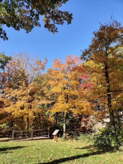 Euclid Creek Park Pavilion - Euclid, OH