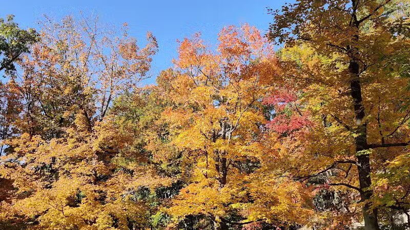 Euclid Creek Park Pavilion - Euclid, OH
