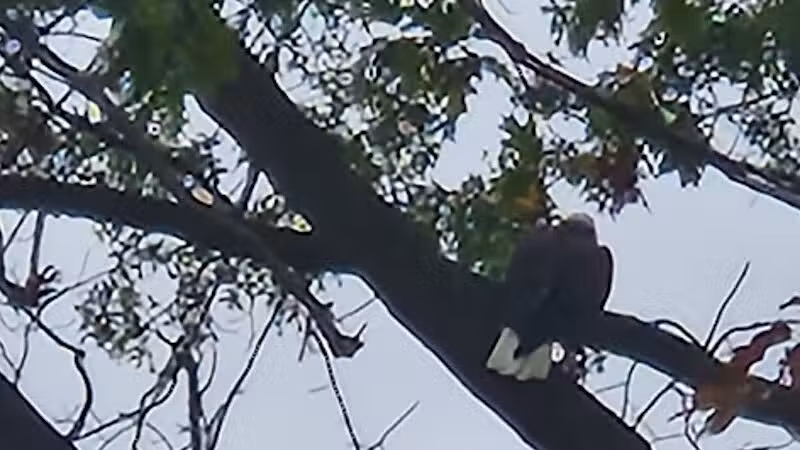 Euclid Memorial Park - Euclid, OH