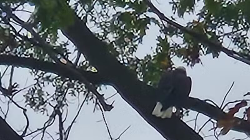 Euclid Memorial Park - Euclid, OH