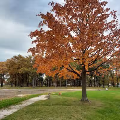 Euclid Memorial Park - Euclid, OH