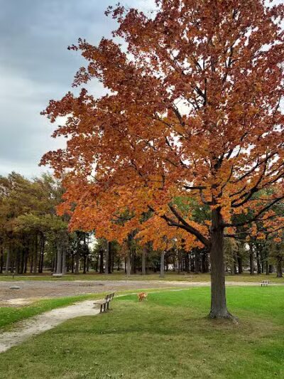 Euclid Memorial Park - Euclid, OH