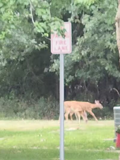 Euclid Memorial Park - Euclid, OH