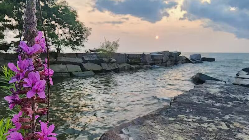 Euclid Park - Euclid, OH