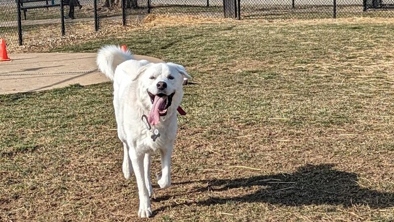 Sandhill Dog Park - Fairborn, OH