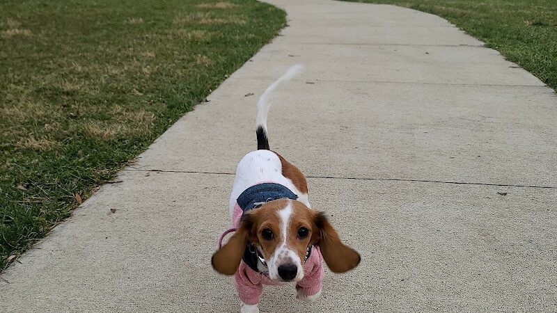 Sandhill Dog Park - Fairborn, OH