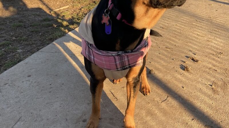 Sandhill Dog Park - Fairborn, OH