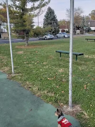 Camelot Drive Dog Park - Fairfield, OH