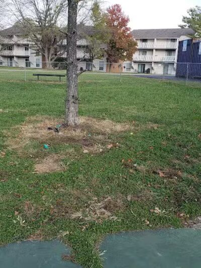 Camelot Drive Dog Park - Fairfield, OH