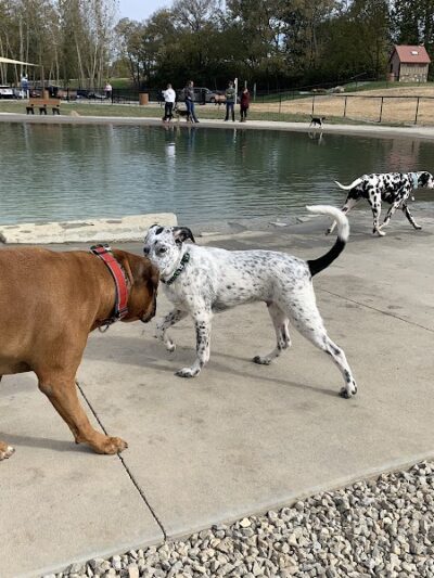 Furfield Dog Park - Fairfield, OH