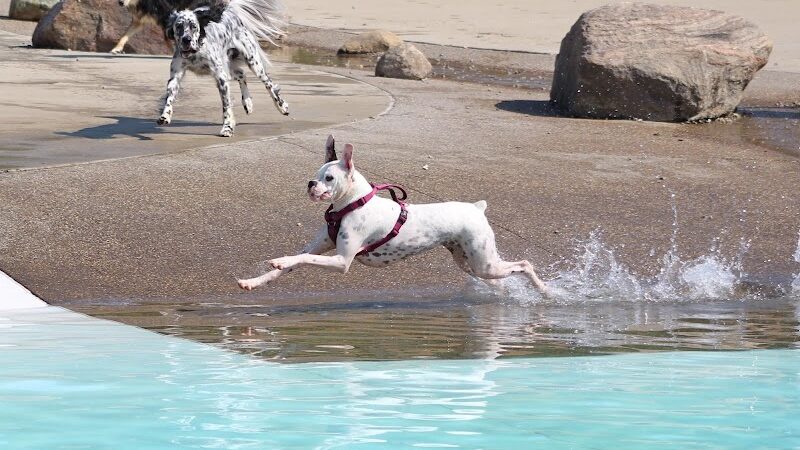 Furfield Dog Park - Fairfield, OH