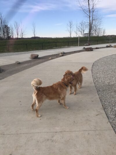 Furfield Dog Park - Fairfield, OH