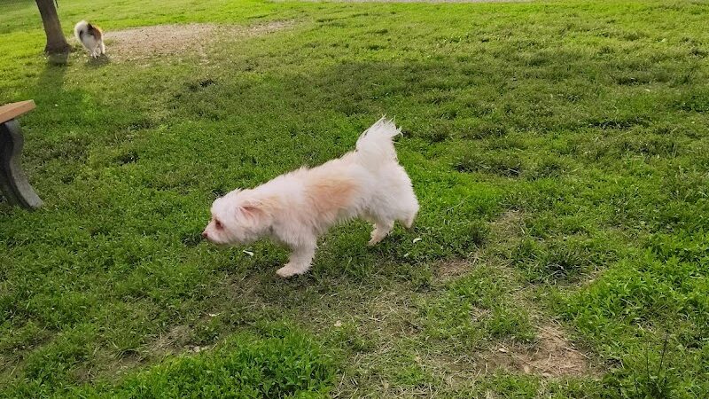 Furfield Dog Park - Fairfield, OH
