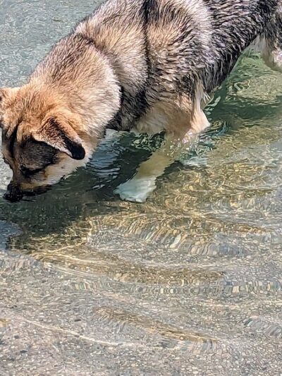Furfield Dog Park - Fairfield, OH