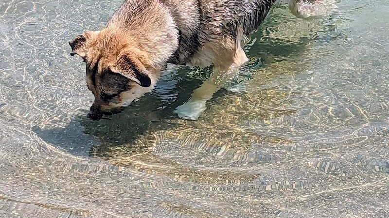Furfield Dog Park - Fairfield, OH