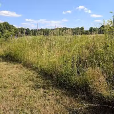 Fairlawn Park - Fairlawn, OH