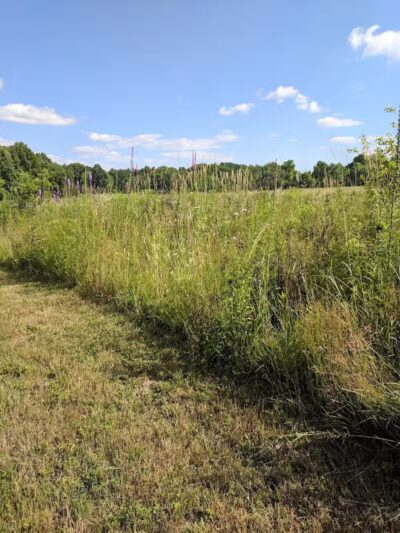 Fairlawn Park - Fairlawn, OH