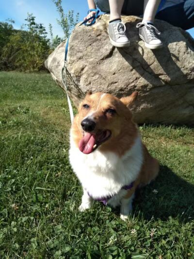 Fairlawn Park - Fairlawn, OH