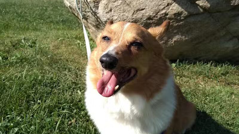 Fairlawn Park - Fairlawn, OH