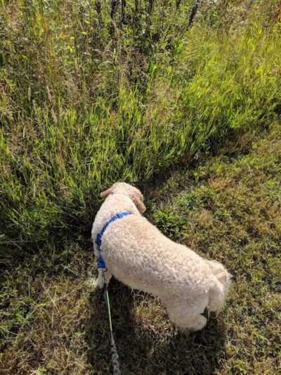 Fairlawn Park - Fairlawn, OH