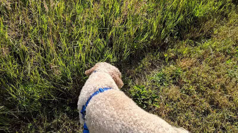 Fairlawn Park - Fairlawn, OH