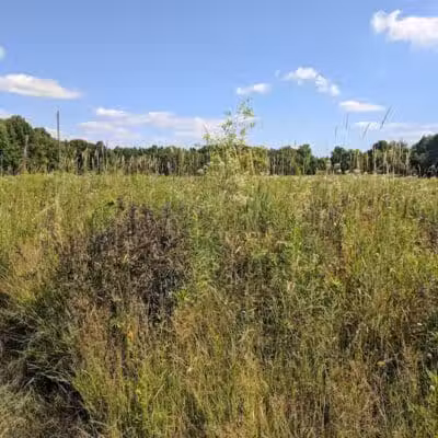 Fairlawn Park - Fairlawn, OH