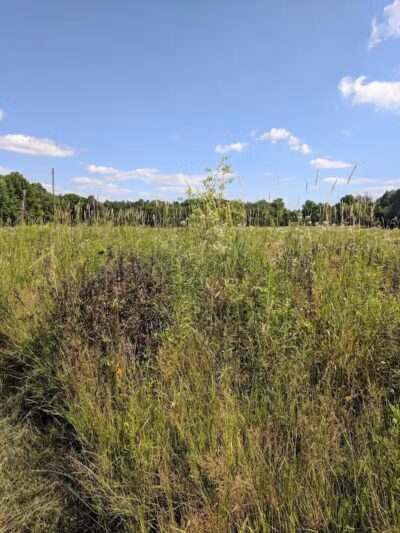 Fairlawn Park - Fairlawn, OH