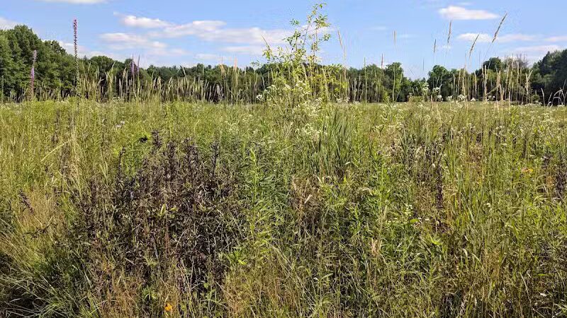 Fairlawn Park - Fairlawn, OH