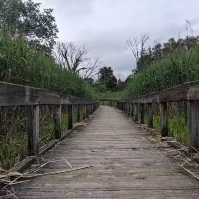 Fort Island / Griffiths Park - Fairlawn, OH