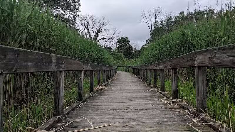 Fort Island / Griffiths Park - Fairlawn, OH