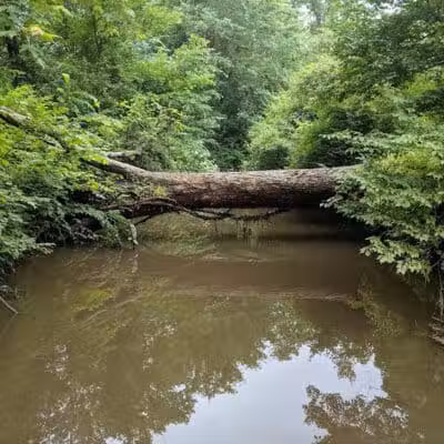 Fort Island / Griffiths Park - Fairlawn, OH