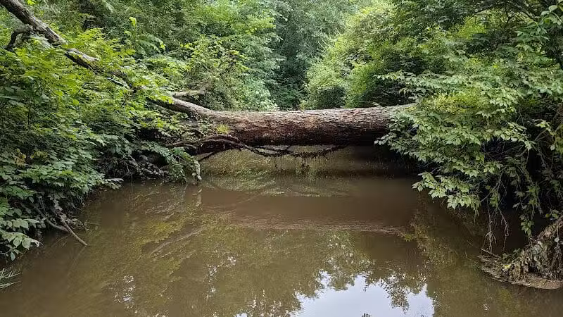Fort Island / Griffiths Park - Fairlawn, OH
