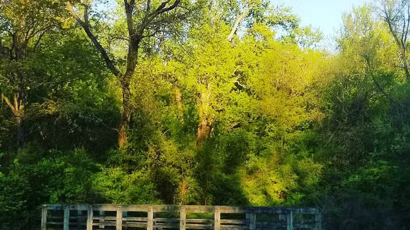 Fort Island / Griffiths Park - Fairlawn, OH