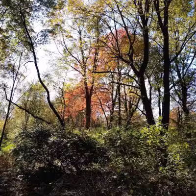 Fort Island / Griffiths Park - Fairlawn, OH