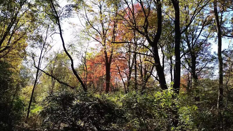 Fort Island / Griffiths Park - Fairlawn, OH