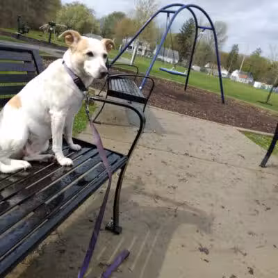 Nelson Russ Park - Fairview Park, OH