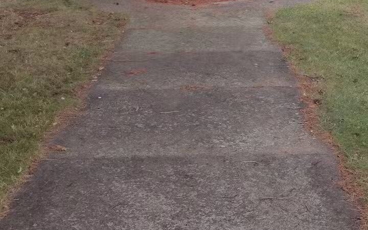 Gustavus Township park - Farmdale, OH