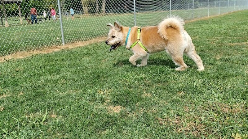 K-9 Field of Dreams Dog Park - Findlay, OH