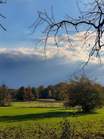 K-9 Field of Dreams Dog Park - Findlay, OH