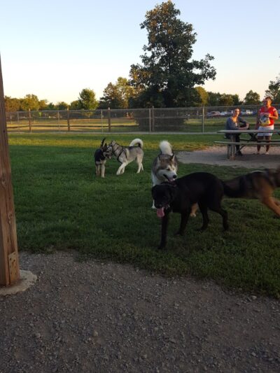 K-9 Field of Dreams Dog Park - Findlay, OH
