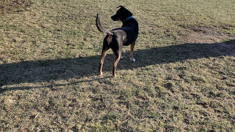 K-9 Field of Dreams Dog Park - Findlay, OH
