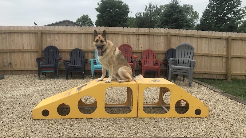 The Bark Park & Patio - Florence, KY