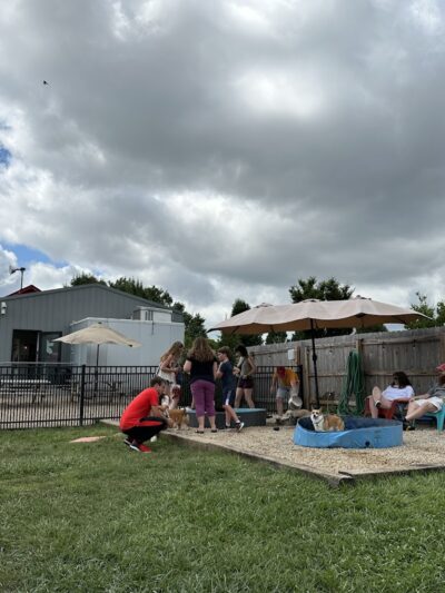 The Bark Park & Patio - Florence, KY