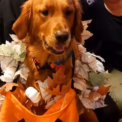 Ft Recovery Veterinary Center - Fort Recovery, OH