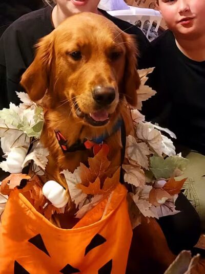 Ft Recovery Veterinary Center - Fort Recovery, OH