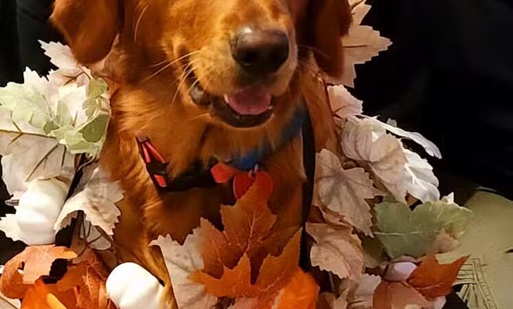Ft Recovery Veterinary Center - Fort Recovery, OH